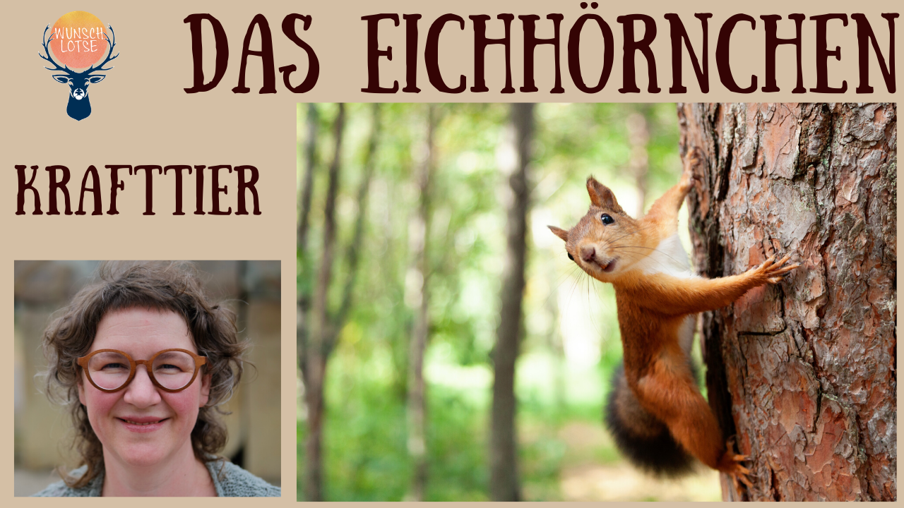 Das Krafttier Eichhörnchen